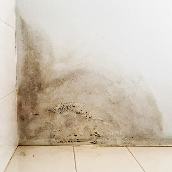 24/7 Emergency Mold Remediation and Cleanup Atlanta
