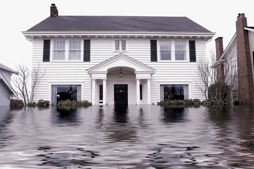 An Introduction to Water Damage Restoration